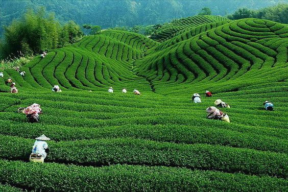 Sự Khác Biệt Bắt Đầu Từ Ánh Sáng Mặt Trời